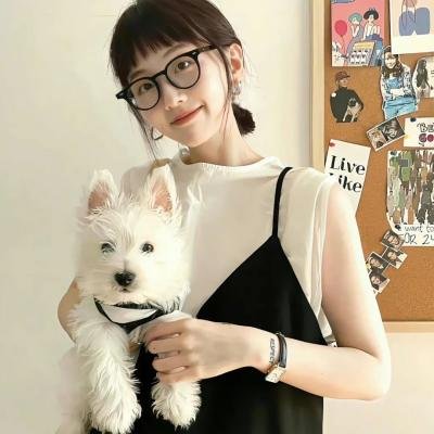 樱花刑警 海报