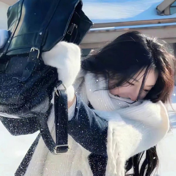 小樽风云 海报